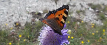 Rohstoffabbau und Rekultivierung