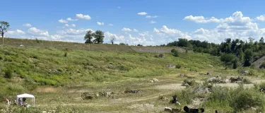 Grube Haltingen Annahme von Erdaushub