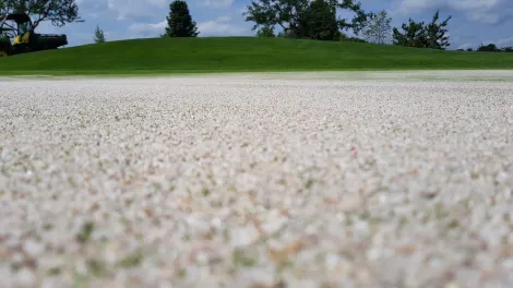 Golfplatz Ressort Öschberghof, Donaueschingen
