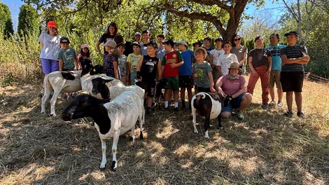Ferien im Jurameer 2026-01