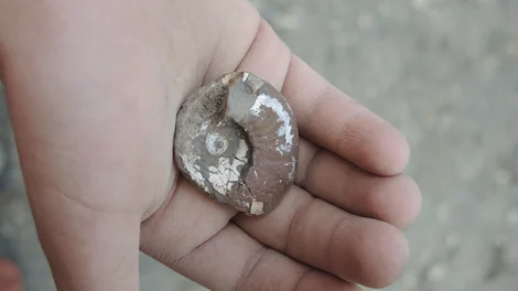 Kinderprogramm Tongrube