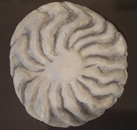 fossilienmuseum-ruckblick-vortrage-wurzburger-lugensteine_450x429.jpg