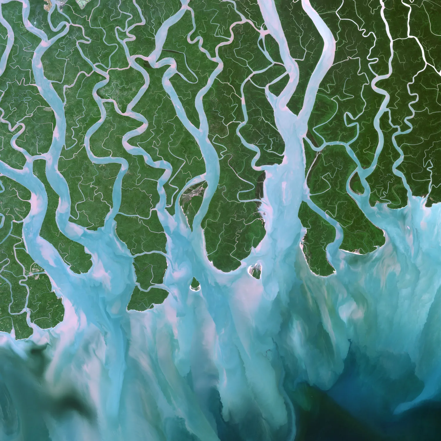 BrahmaputraKunga_Print_LowRes