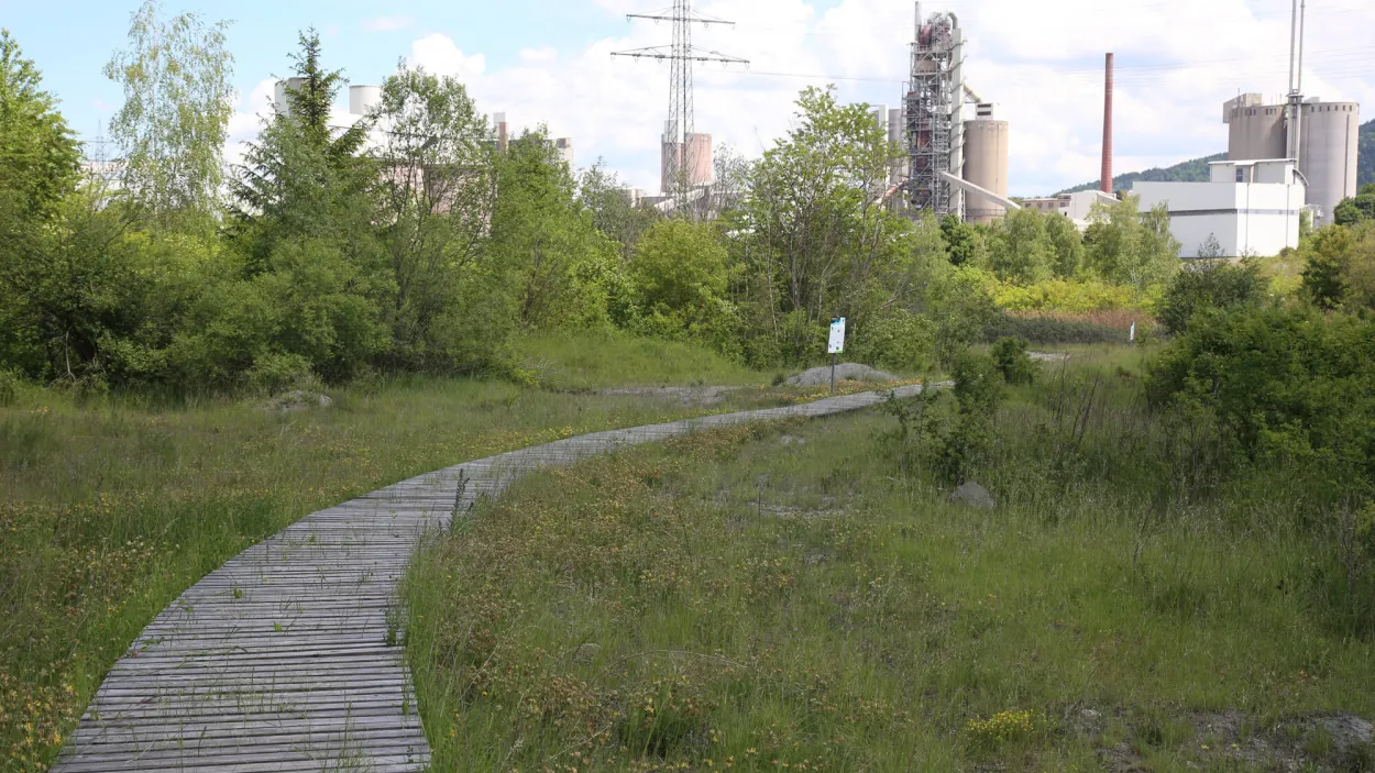Öde Flusslandschaft