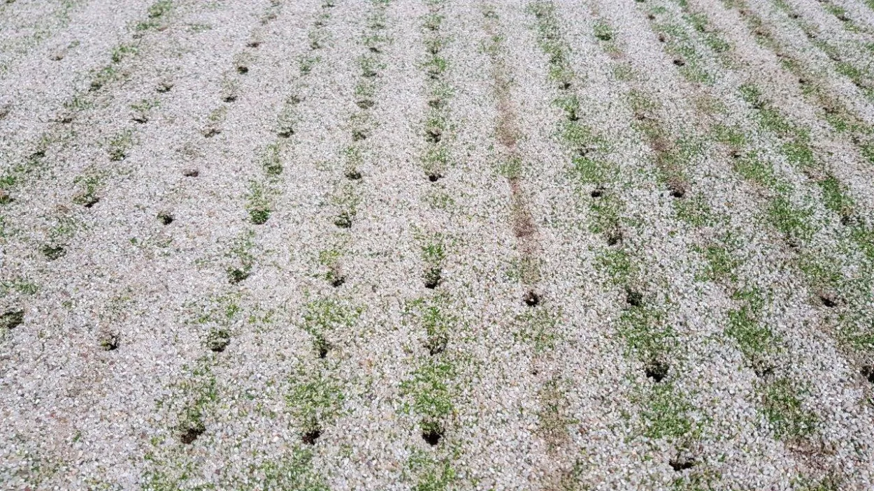 Golfplatz Ressort Öschberghof, Donaueschingen