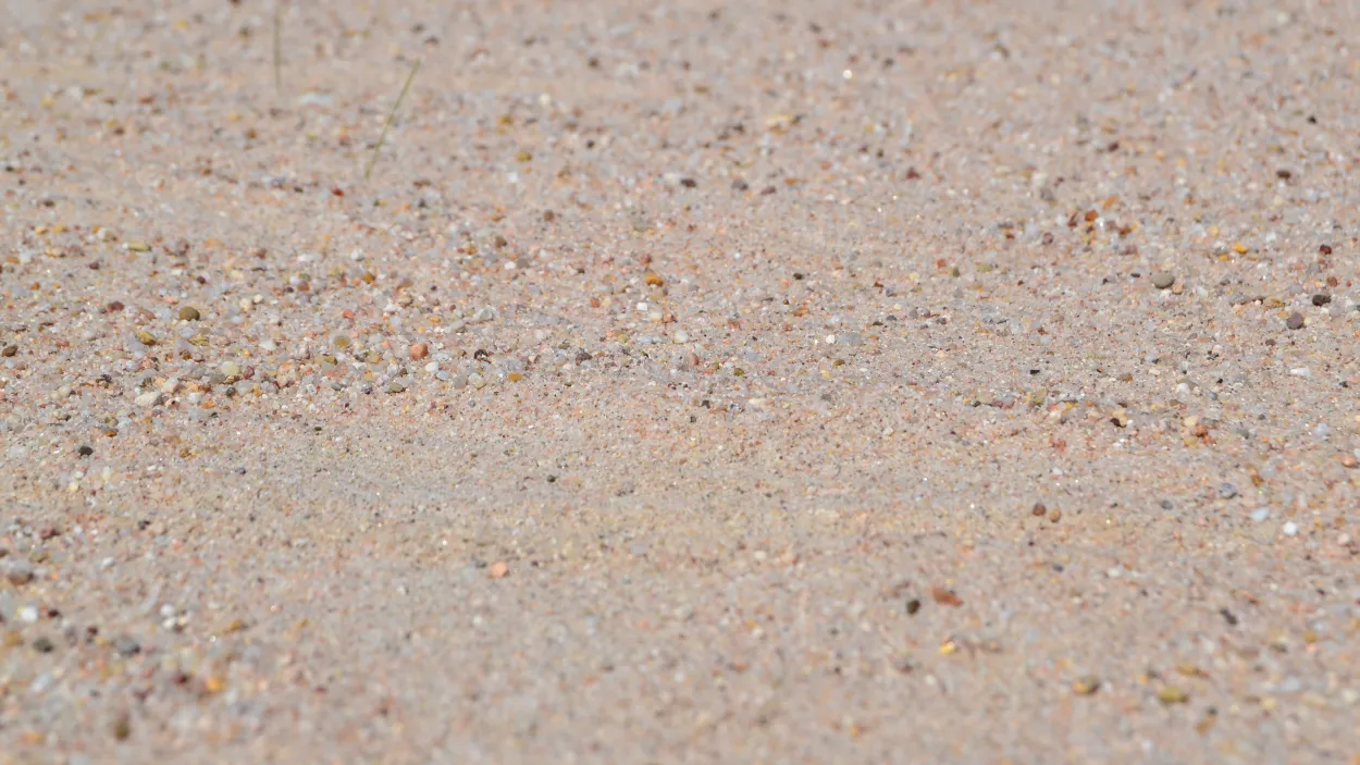 Sportschule Schöneck