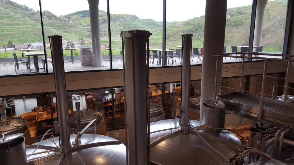 Architektur und Wein