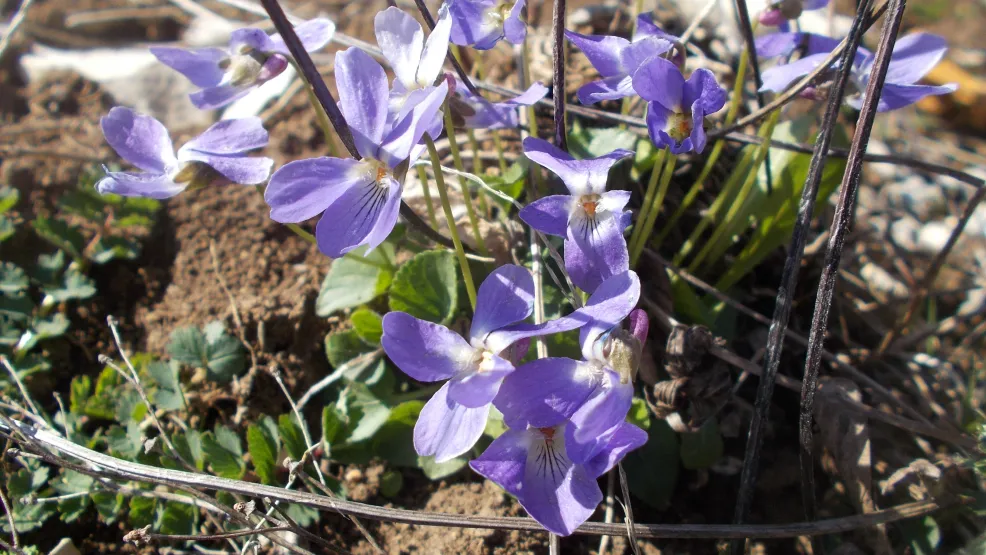 Rohstoffabbau und Rekultivierung