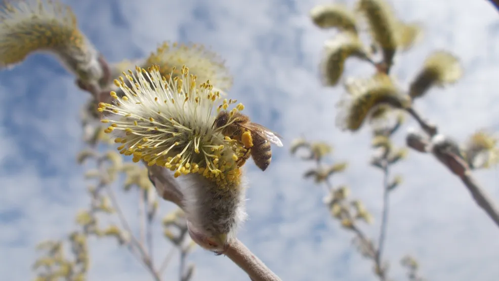 Rohstoffabbau und Rekultivierung