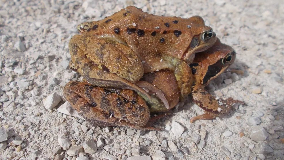 Rohstoffabbau und Rekultivierung