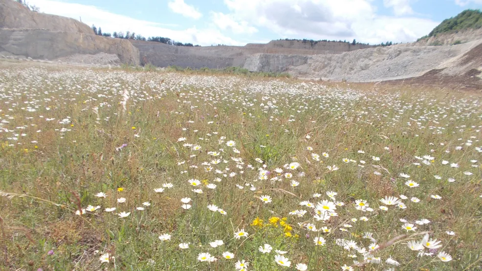 Rohstoffabbau und Rekultivierung
