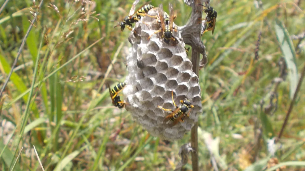 Rohstoffabbau und Rekultivierung