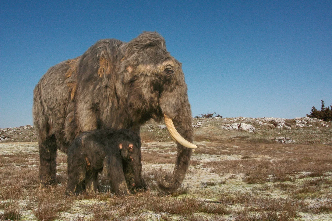 Eiszeit-Safari_Mammut