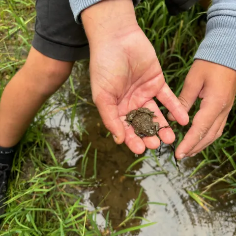 Ferien im Jurameer 2024_03