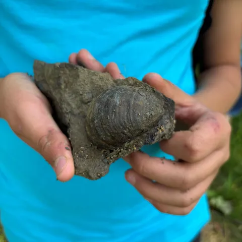 Ferien im Jurameer 2025-03