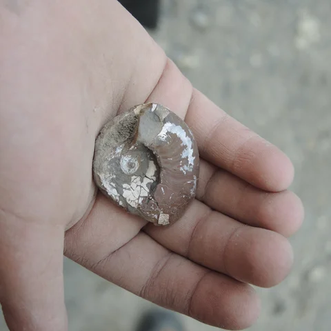 Kinderprogramm Tongrube