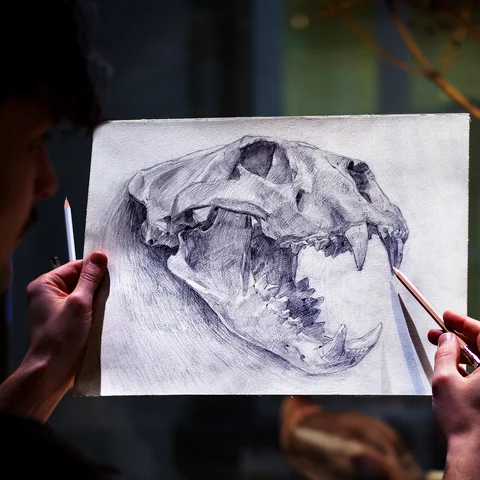 Zeichnen ist Entdecken_Jascha Gerhardt-02
